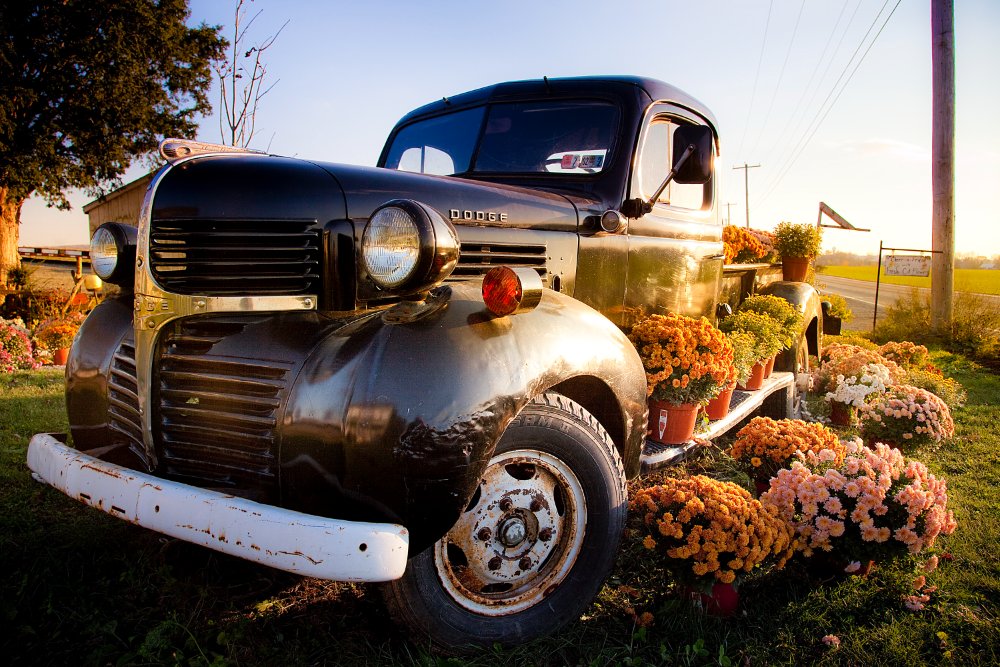 Editorial Photography by Kristi Fisher, FiP creative